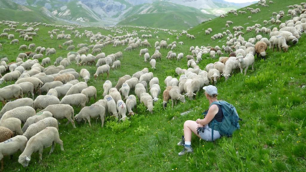 La Petite Etoile D'Hotes En Mercantour Saint-Dalmas-le-Selvage Eksteriør billede